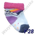 F28.jpg